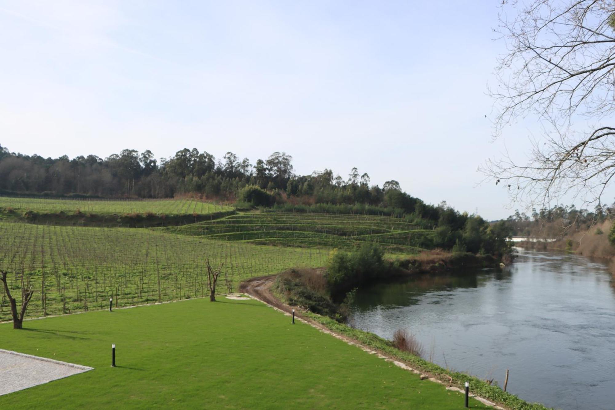 Quinta Das Areias - Solar Da Pena Villa Брага Екстериор снимка